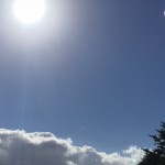 IMG_0481 (1)