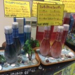 再び　冷え冷えシャンプー