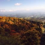 PURE PLACE　社員研修　2016
