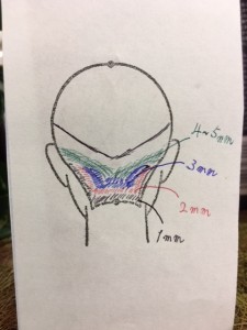 image1 (8)