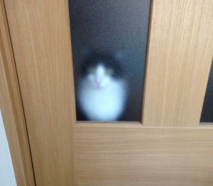 すっかり…