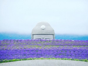 安藤忠雄